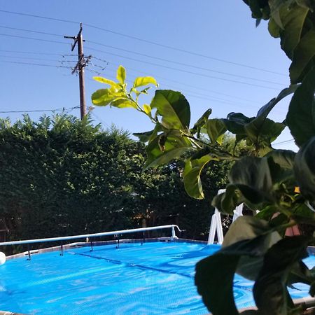 Studio In Southbay Close To The Beach Sofi Stadium Lax Lawndale Exterior foto