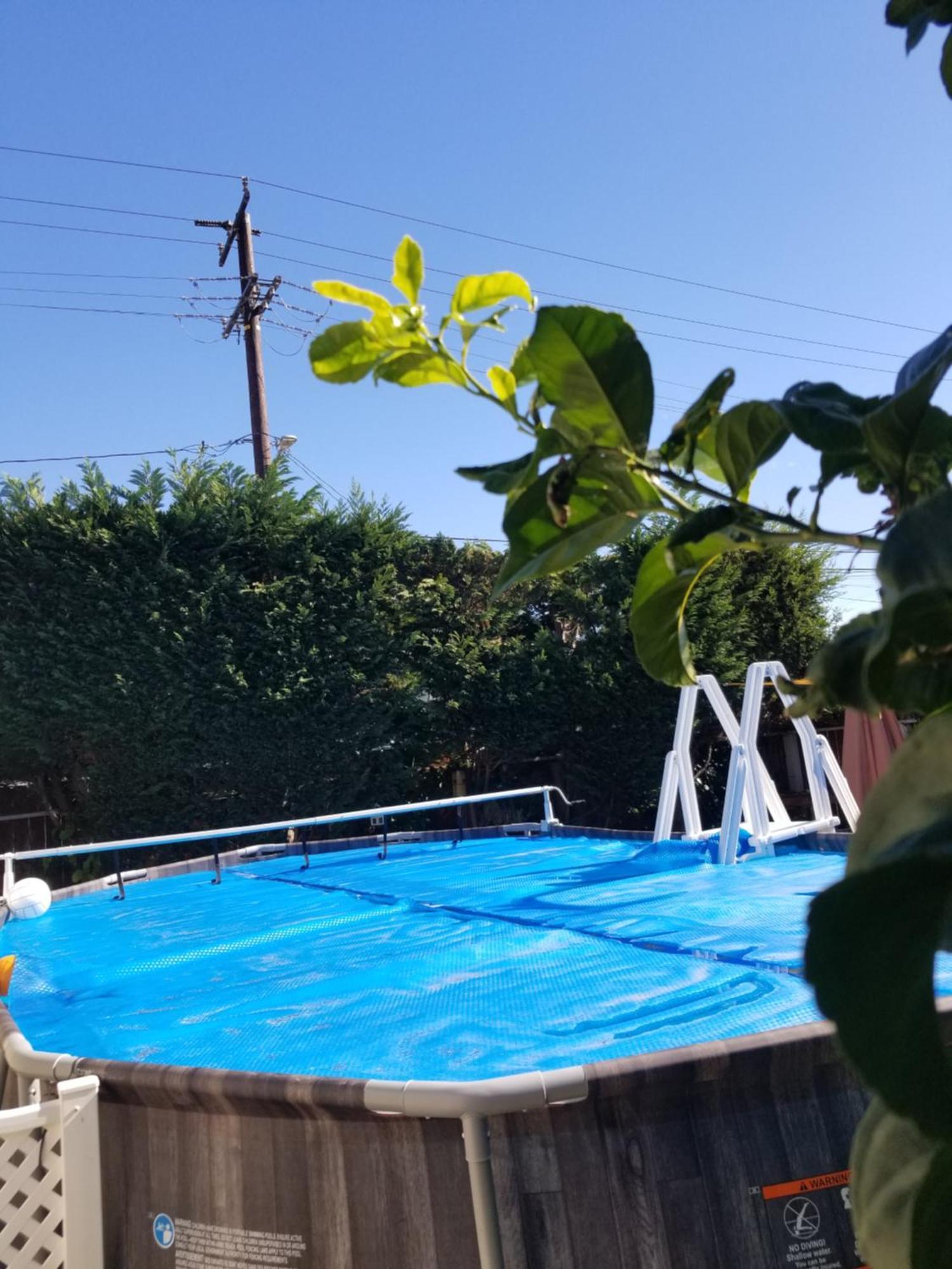 Studio In Southbay Close To The Beach Sofi Stadium Lax Lawndale Exterior foto